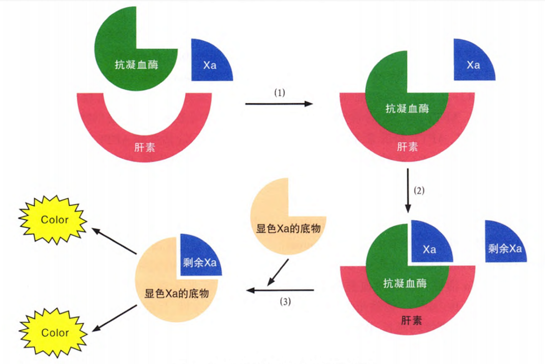 國(guó)產(chǎn)抗Xa質(zhì)量如何？多中心臨床研究來(lái)告訴你！