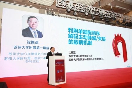 蘇州大學(xué)心血管病研究所所長、蘇州大學(xué)附屬第一醫(yī)院心臟大血管外科主任沈振亞教授作報告